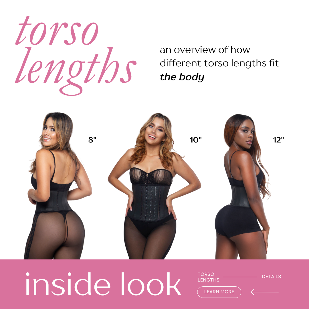 Torso Lengths and Waist Training